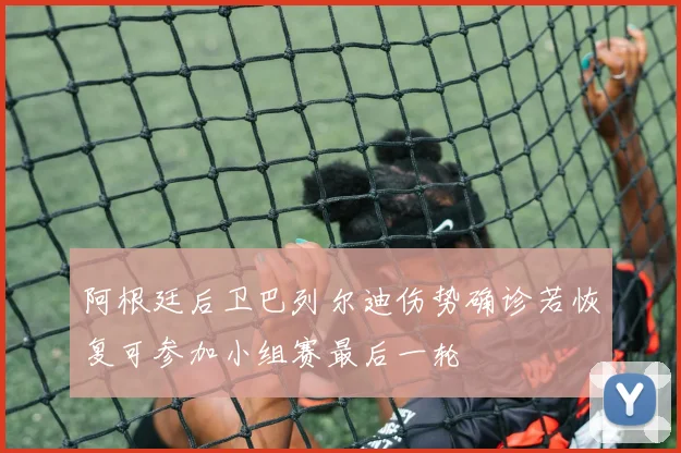 阿根廷后卫巴列尔迪伤势确诊若恢复可参加小组赛最后一轮